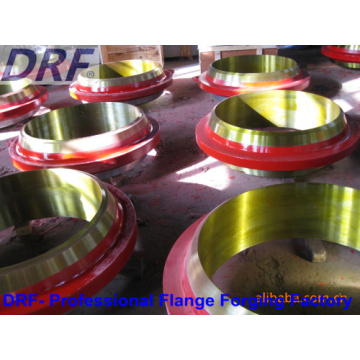 Oil Pipe Flange, Forging Flange, Stainless Steel, Alloy Steel